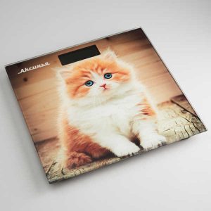 Весы напольные АКСИНЬЯ КС-6000 Рыжий кот, 180 кг