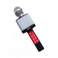 Микрофон-караоке беспроводной WSTER WS-1828 Black