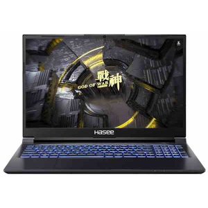 Ноутбук Hasee Z7-TA5NA 15.6" IPS, Core i5, 8/512Gb,RTX 30504Gb (04HAZ7TA5NA) Black