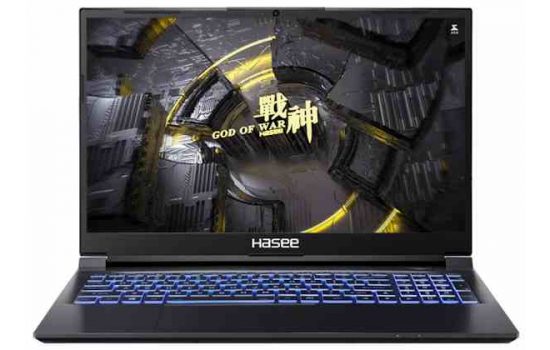 Ноутбук Hasee Z7-TA5NA 15.6" IPS, Core i5, 8/512Gb,RTX 30504Gb (04HAZ7TA5NA) Black