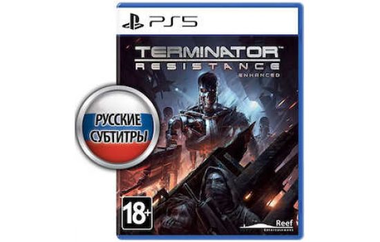 Terminator Resistance PS5 русск.