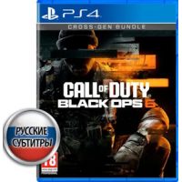 Call Of Duty Black Ops 6 PS4 руск.субтитры