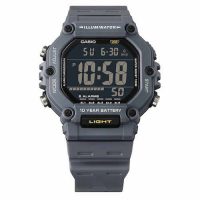 Часы наручные Casio AE-1600H-8BVD WR100 Grey